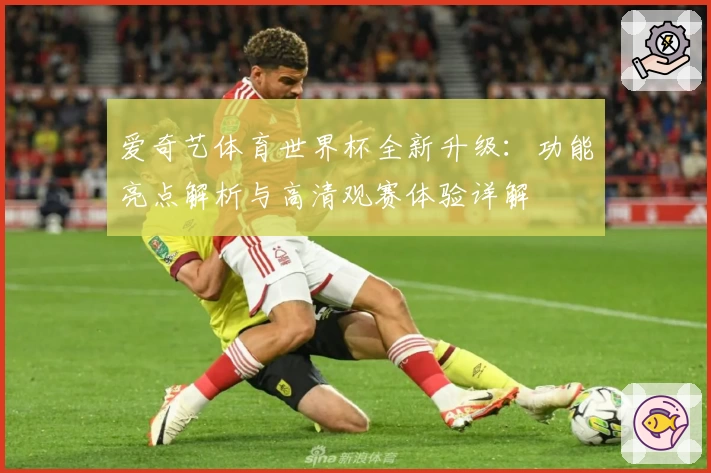 爱奇艺体育世界杯全新升级：功能亮点解析与高清观赛体验详解
