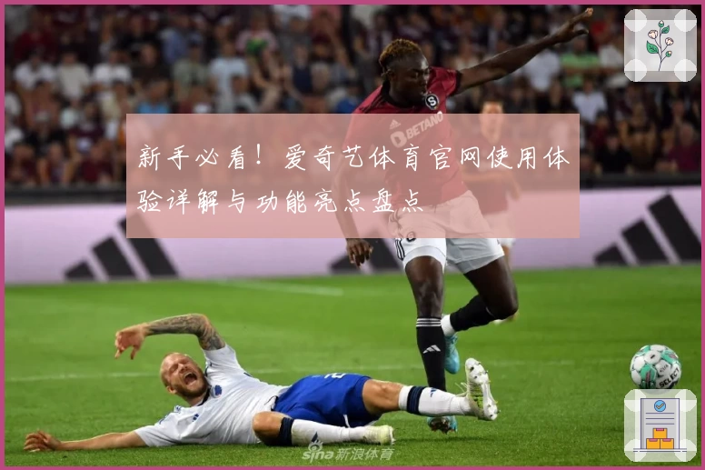 新手必看！爱奇艺体育官网使用体验详解与功能亮点盘点