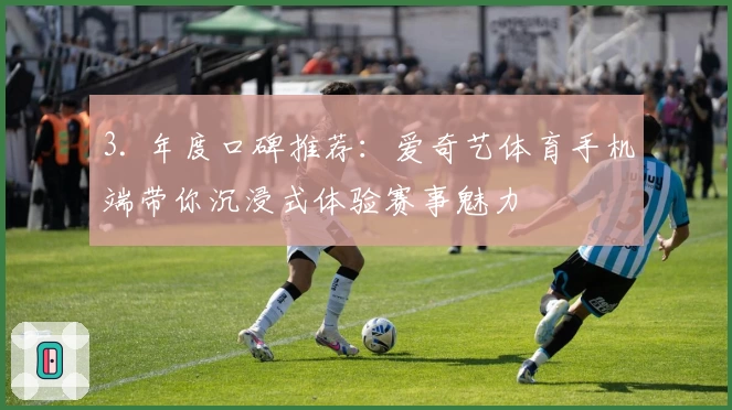 3. 年度口碑推荐：爱奇艺体育手机端带你沉浸式体验赛事魅力